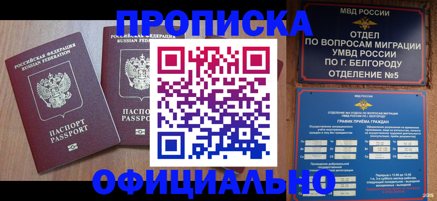 найти адрес прописки в Борисоглебске